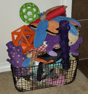 Basket of Dog Toys