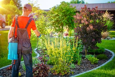 Professionally sprayed pesticides as well as over the counter pesticides can be dangerous to your indoor and outdoor pets.