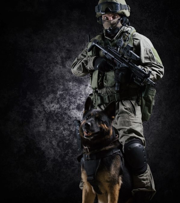 K-9 Miltary Shepherd