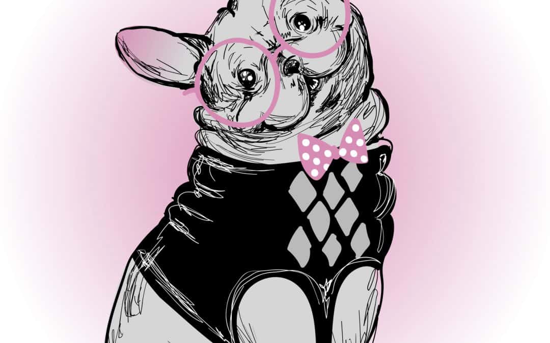 Trendy Frenchie