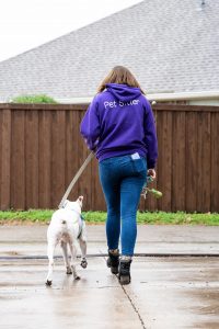 Fur Services Fur Pets Savannah Dog Walker