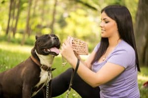 Woman putting muzzle on dog