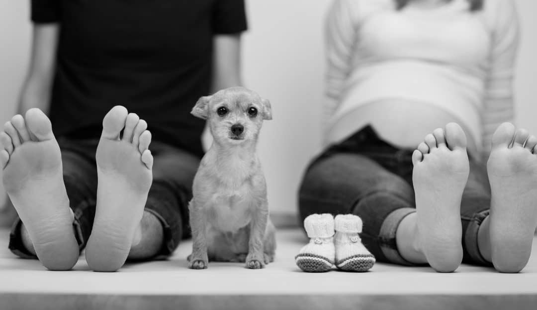 Expecting Parents with their pup