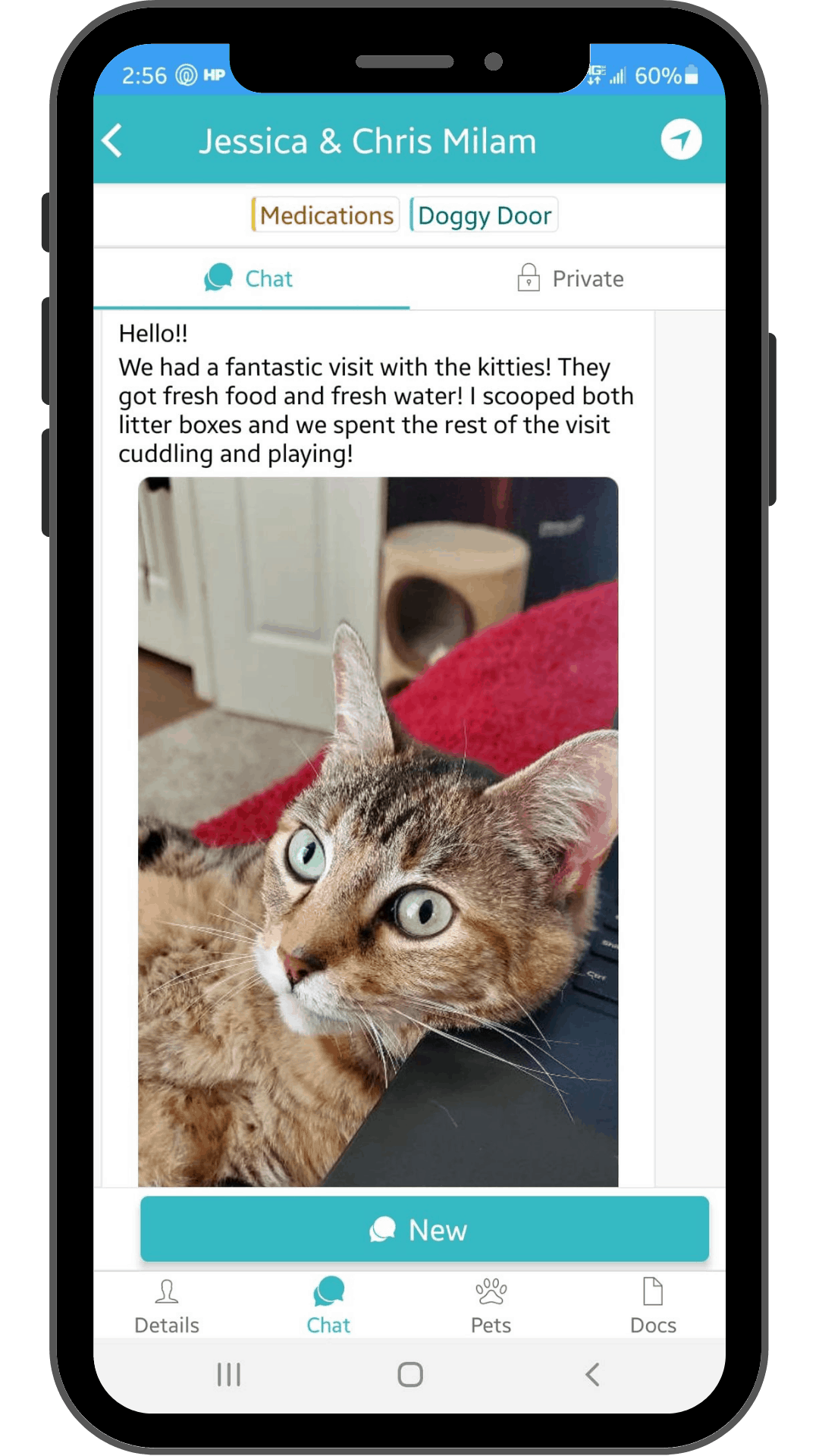 Union Park Cat Sitting A Guide to Hiring a Cat Sitter in Union Park