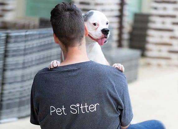 Pet Sitter with Dog