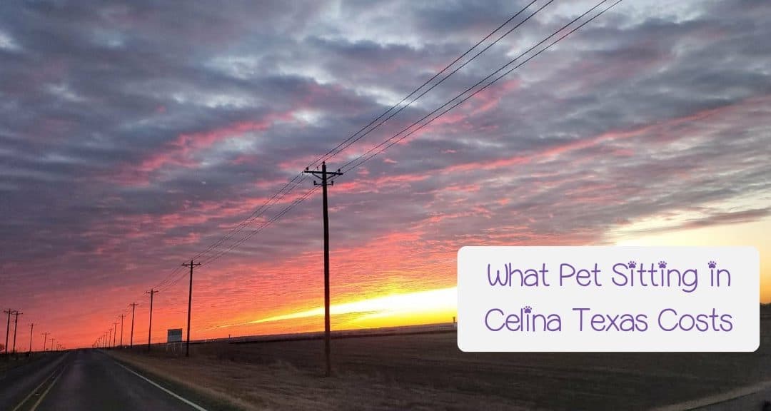 How Much Does a Pet Sitter in Celina, Texas Cost?