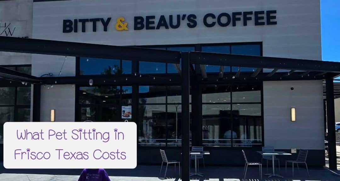 How Much Does Pet Sitting in Frisco Texas Cost?