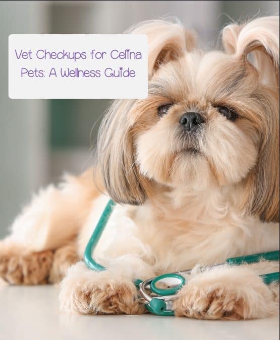 Vet Checkups for Celina Pets: A Wellness Guide