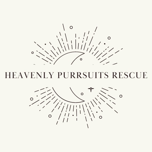 Heavenly Purrsuits Rescue
